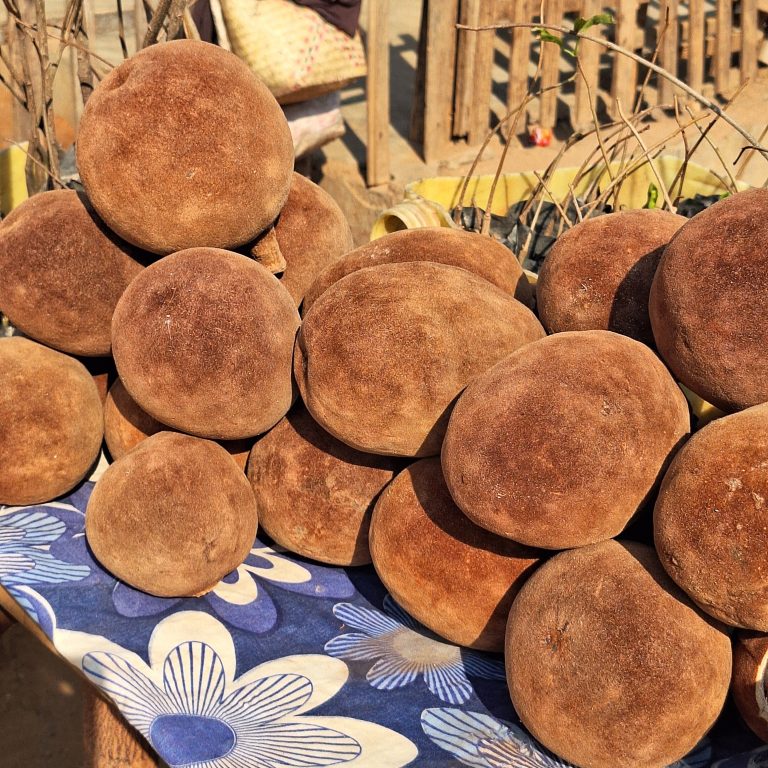 Velvety oval Baobab fruits piled up for sale on a roadside market stall in Madagascar