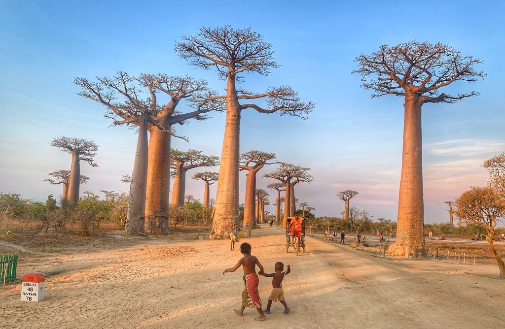 Local children walking beside a cycle rickshaw on the sandy Avenue of the Baobabs