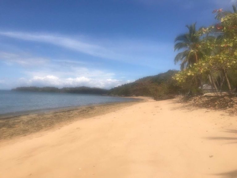 A completely empty stretch of golden sand backed by leaning coconut palms on the Madagascar coast