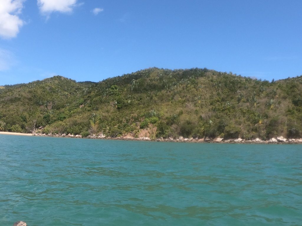 A green forested hillside dropping to the shore, seen across clear turquoise water