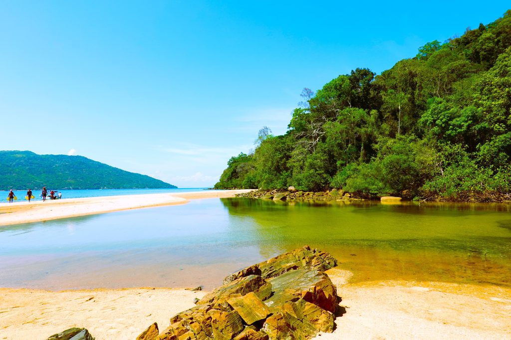A green freshwater creek cutting across white sand to the sea, with rainforest rising behind