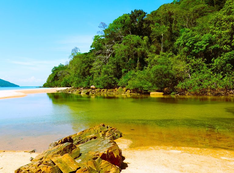 A shallow green lagoon lapping onto a broad white sand beach on the Madagascar coast