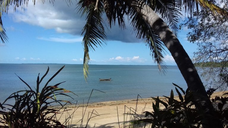 A lone outrigger canoe on calm water, framed by the trunk of a leaning coconut palm