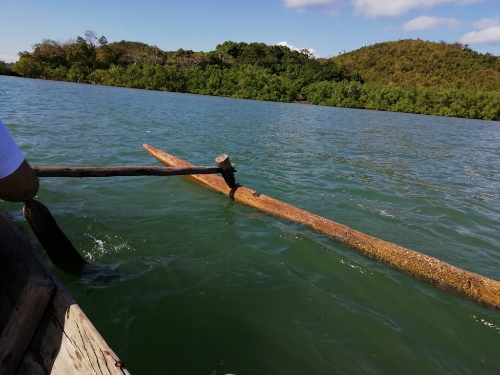 The wooden outrigger arm of a pirogue skimming the water close to a mangrove-lined shore