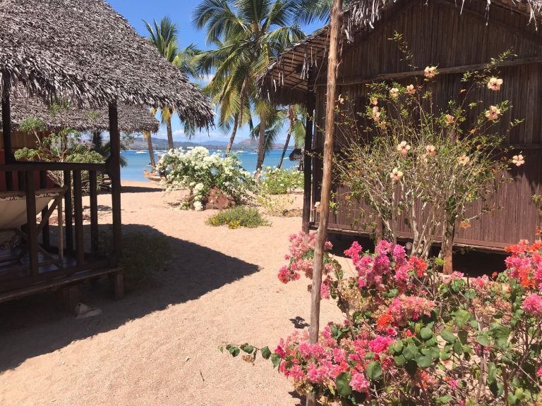 Thatched beach bungalows surrounded by flowering Bougainvillea and coconut palms