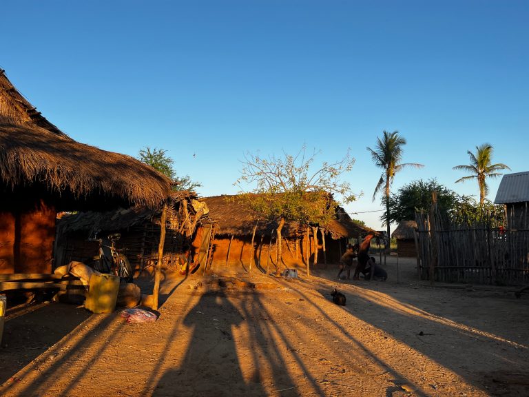 A cluster of thatched village huts glowing in the low golden light of evening