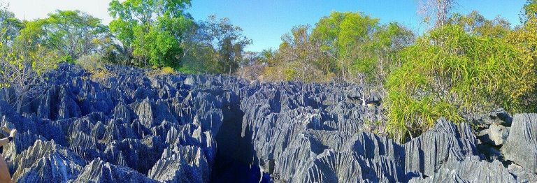 A wide panorama of the Tsingy, a forest of razor-sharp grey limestone pinnacles in western Madagascar