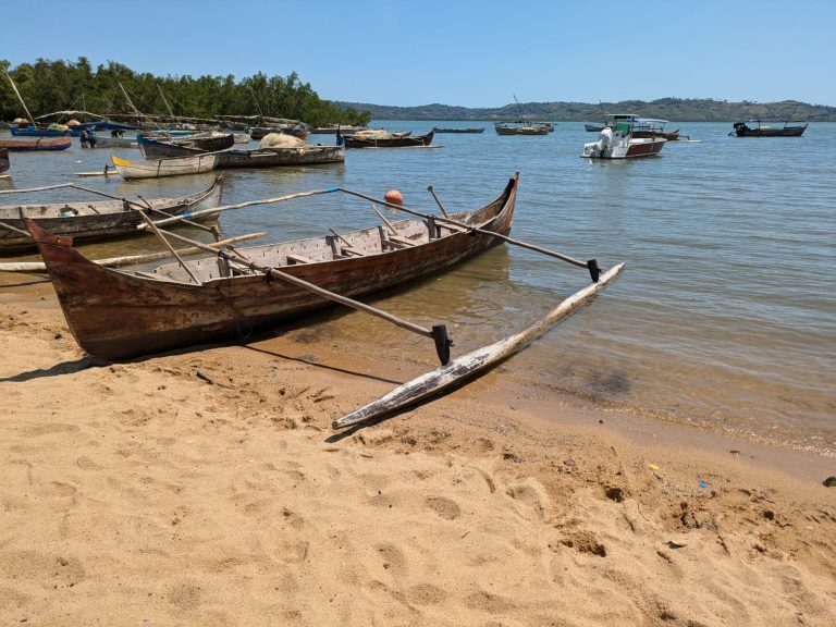 A wooden outrigger pirogue pulled up on the sand alongside the rest of the village fishing fleet